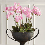 Napa Pink PHALAENOPSIS ORCHID DROP-IN 30"