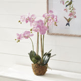 Napa Pink PHALAENOPSIS ORCHID DROP-IN 30"