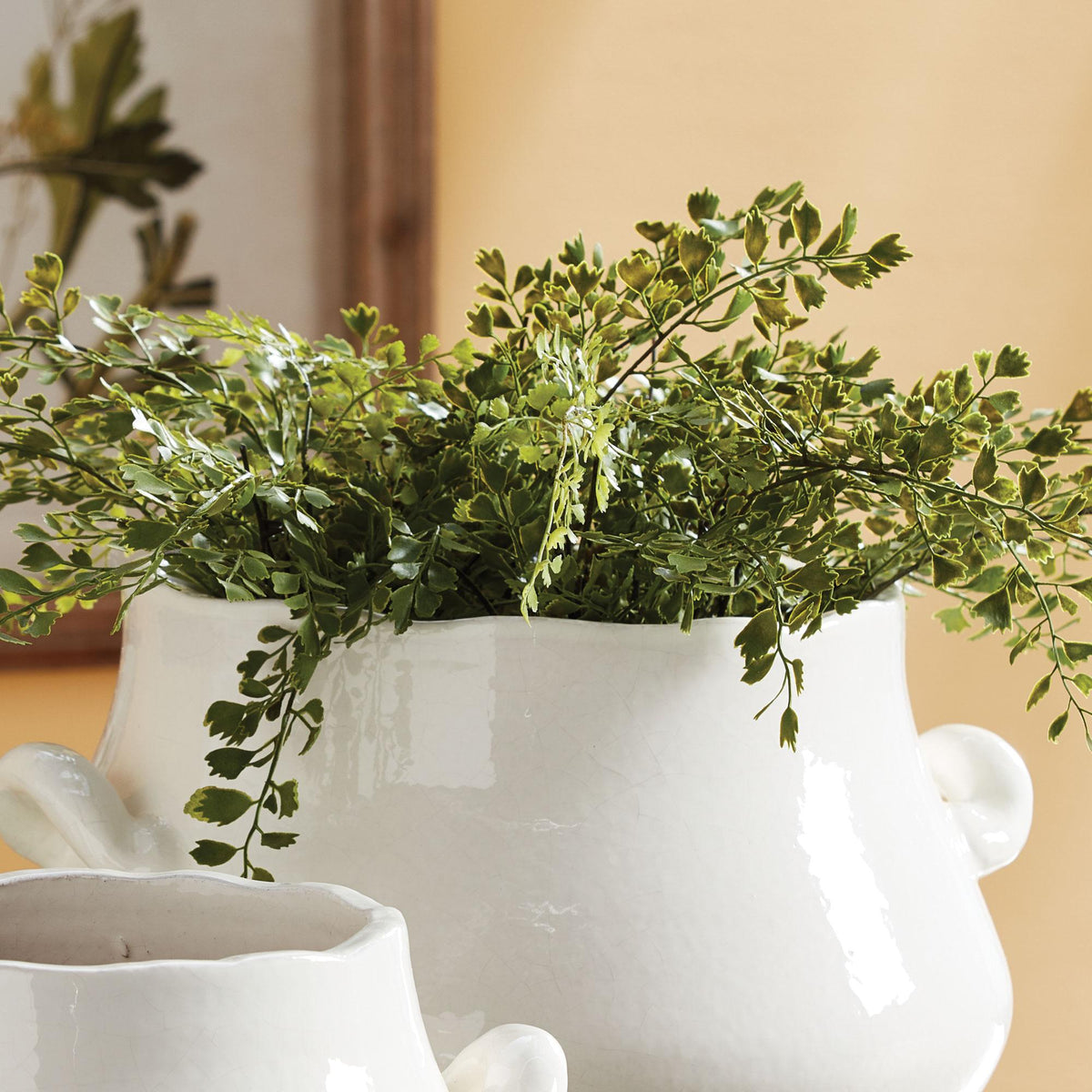 Napa For pots that fit this fern, click Dropin System above MAIDENHAIR DROP-IN 18"