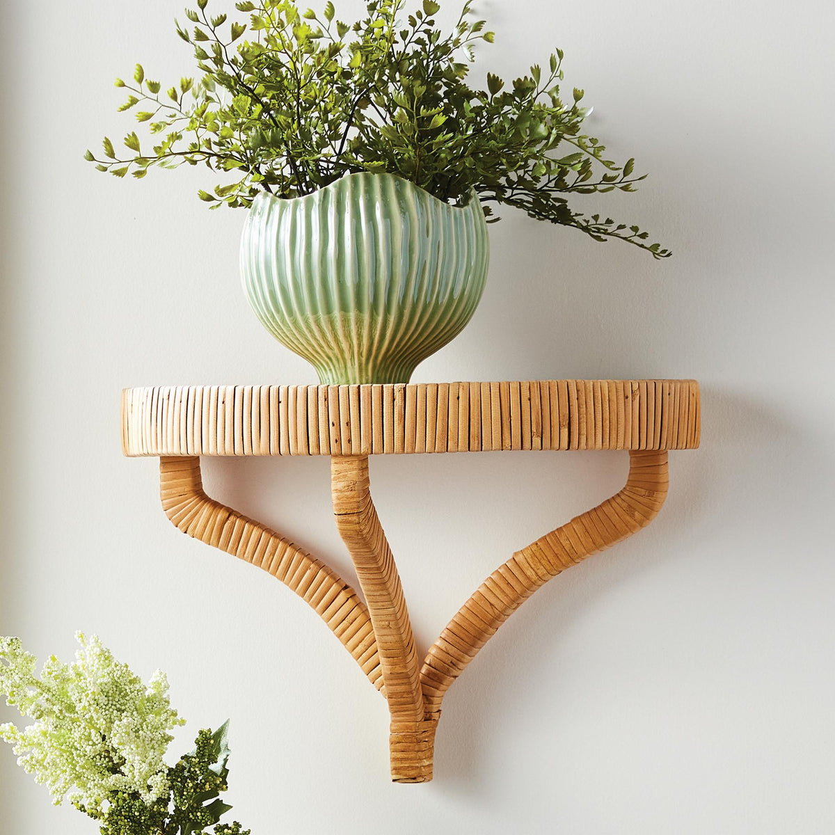 Napa For pots that fit this fern, click Dropin System above MAIDENHAIR DROP-IN 18"