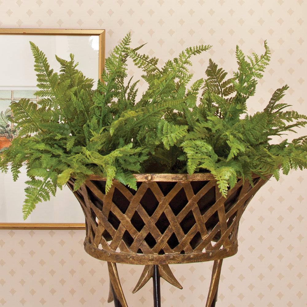 Napa  SOFT FERN DROP-IN 10.5"