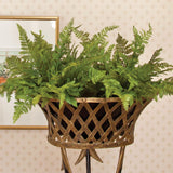 Napa  SOFT FERN DROP-IN 10.5"