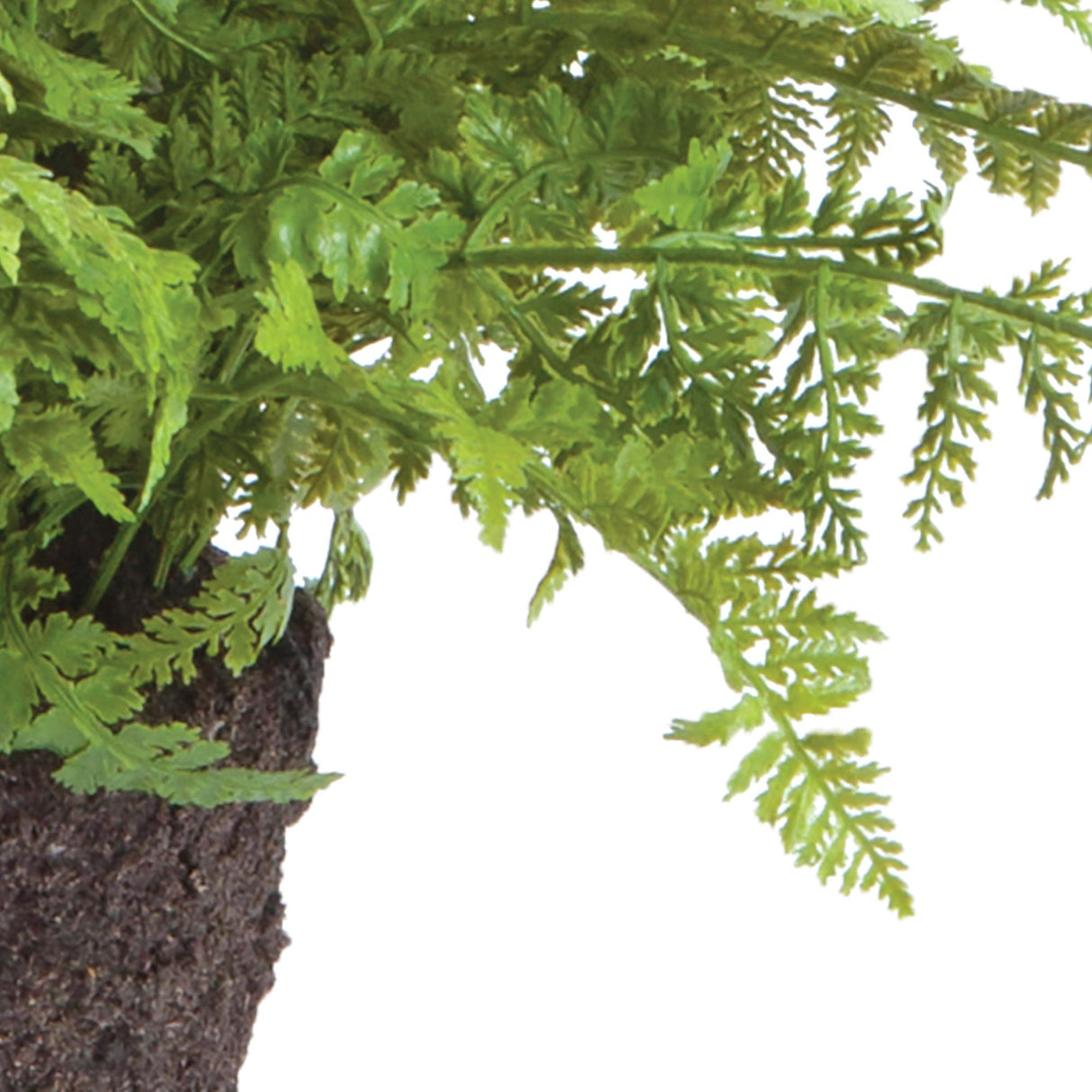 Napa  SOFT FERN DROP-IN 10.5"