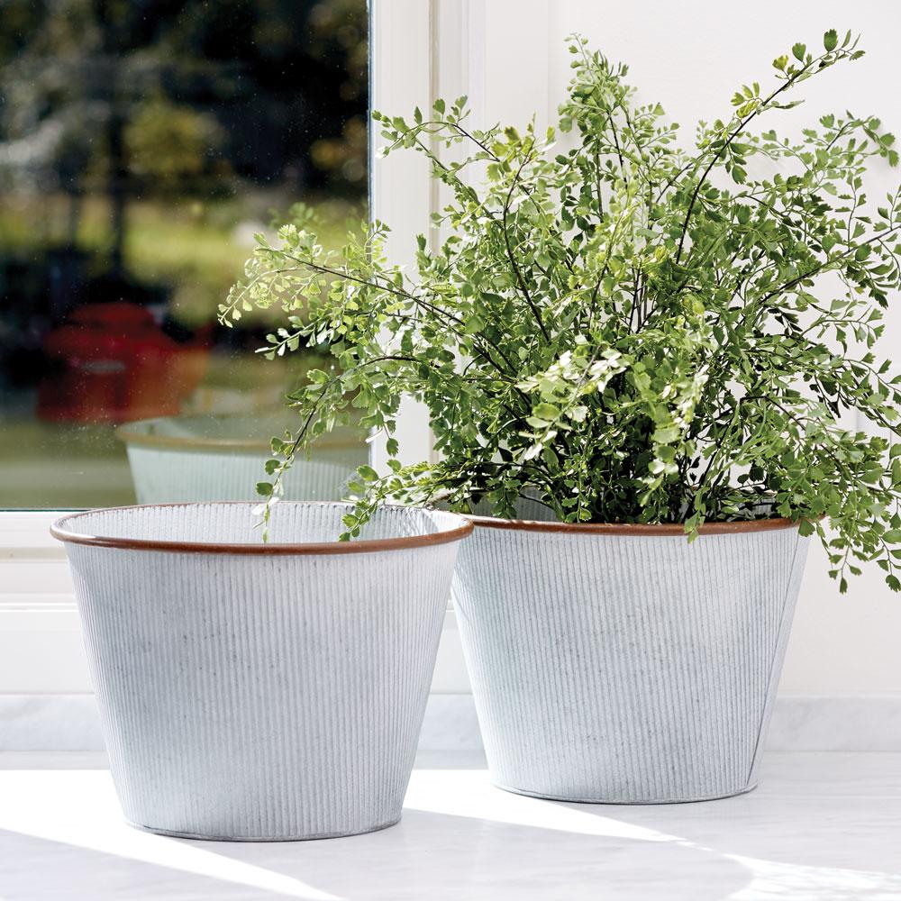 Napa  MAIDENHAIR DROP-IN 23"