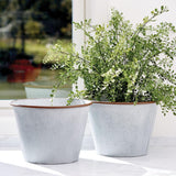 Napa  MAIDENHAIR DROP-IN 23"