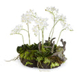 Napa White MINI DENDROBIUM WITH RUSTIC DROP-IN 16"