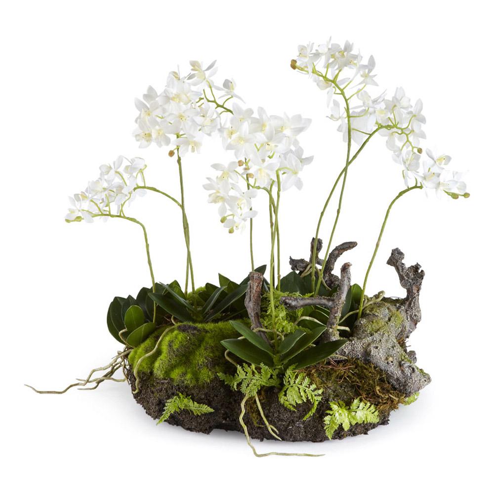 Napa White MINI DENDROBIUM WITH RUSTIC DROP-IN 16"
