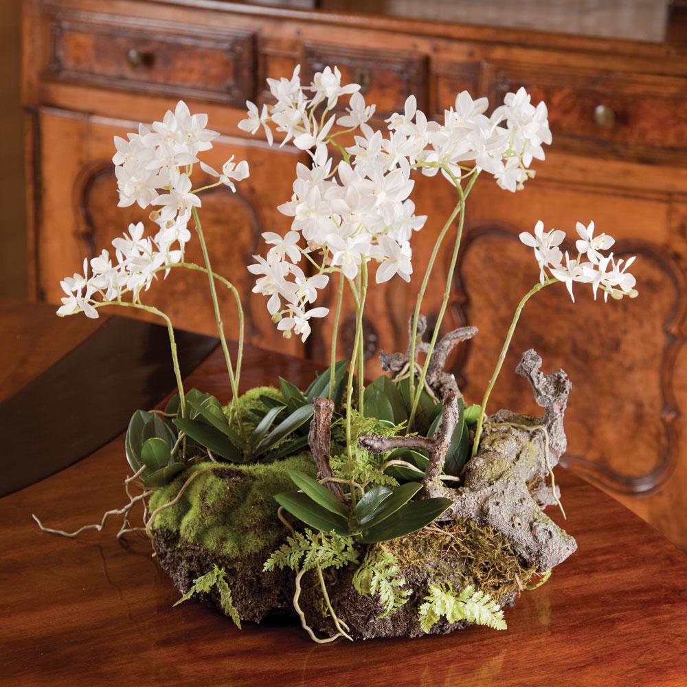 Napa White MINI DENDROBIUM WITH RUSTIC DROP-IN 16"