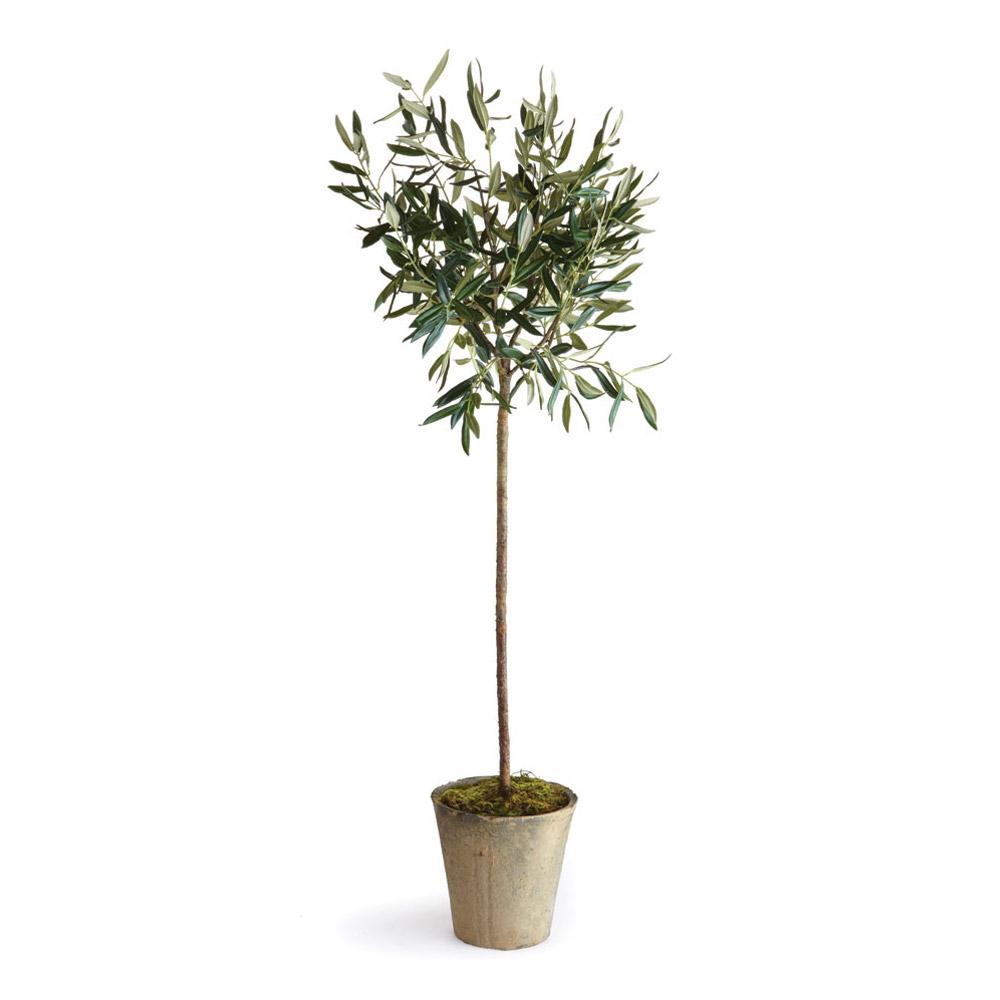 Napa  OLIVE TREE POTTED 46"
