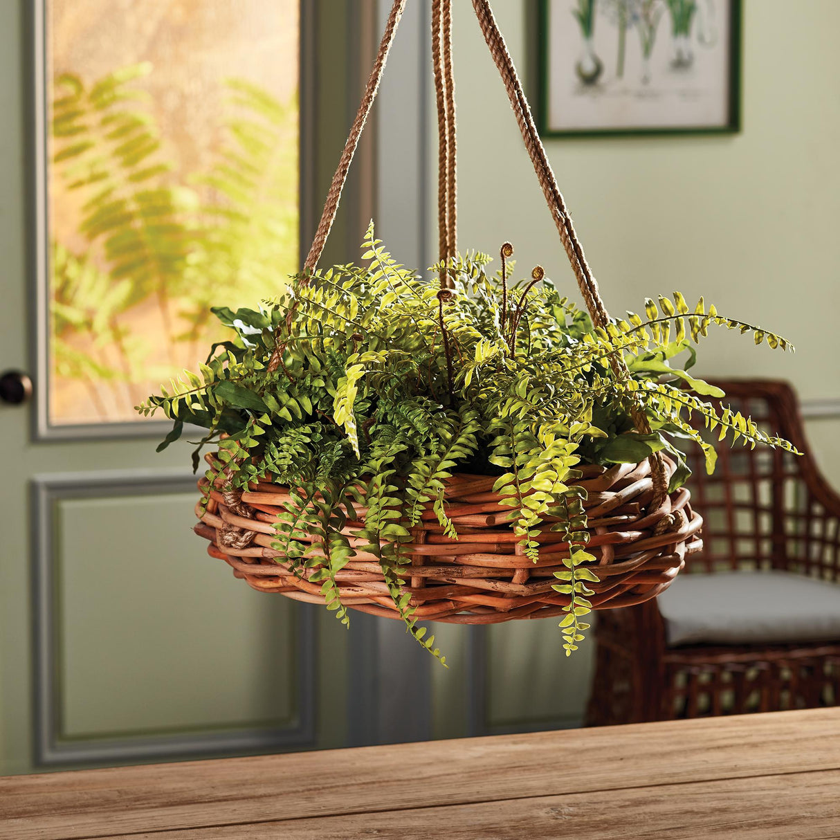Napa  BOSTON FERN RUSTIC DROP-IN 12"