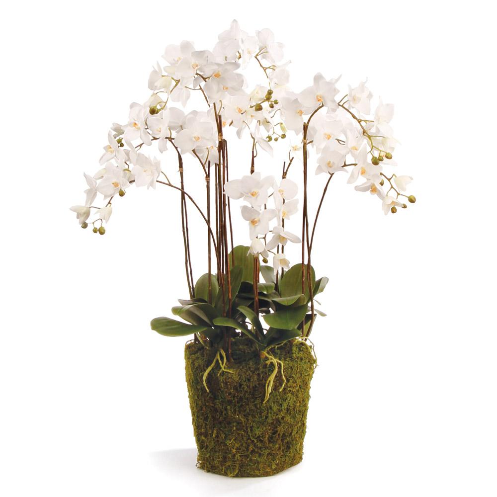 Napa White PHALAENOPSIS ORCHID DROP-IN 36"