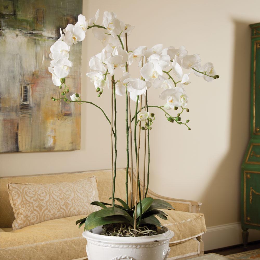 Napa White PHALAENOPSIS ORCHID DROP-IN 44"