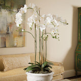 Napa White PHALAENOPSIS ORCHID DROP-IN 44"