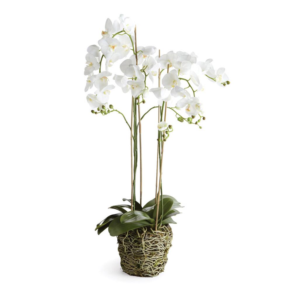 Napa White PHALAENOPSIS ORCHID DROP-IN 44"
