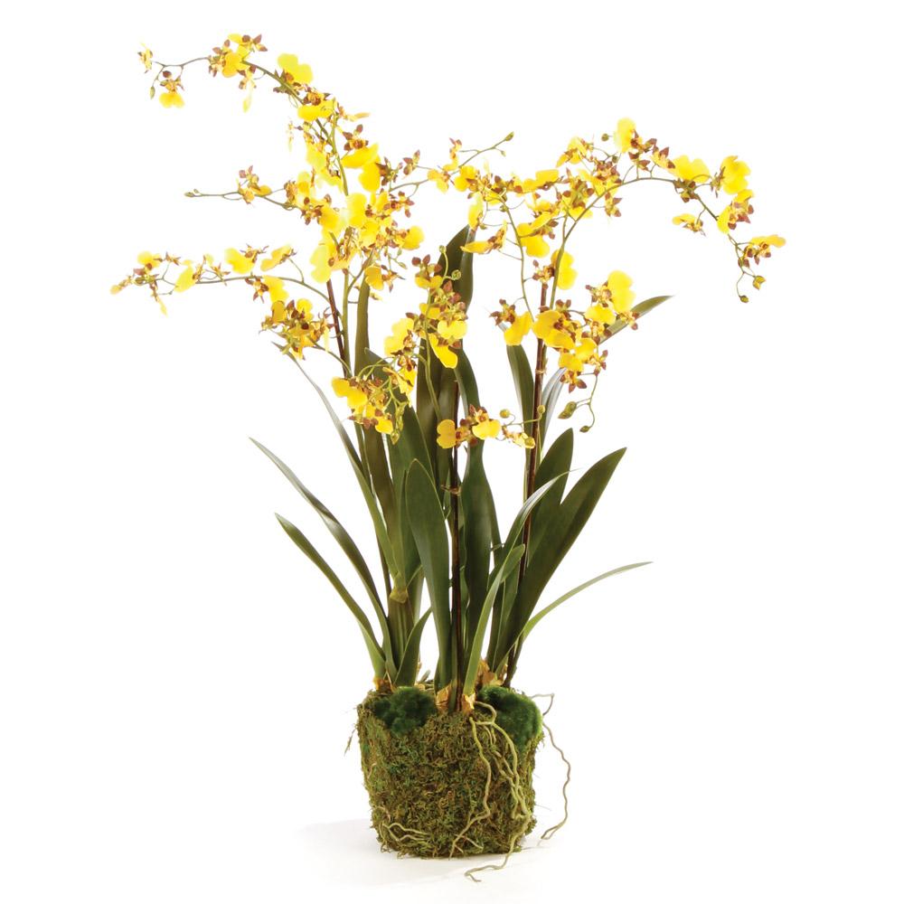 Napa  DANCING ORCHID DROP-IN 32"