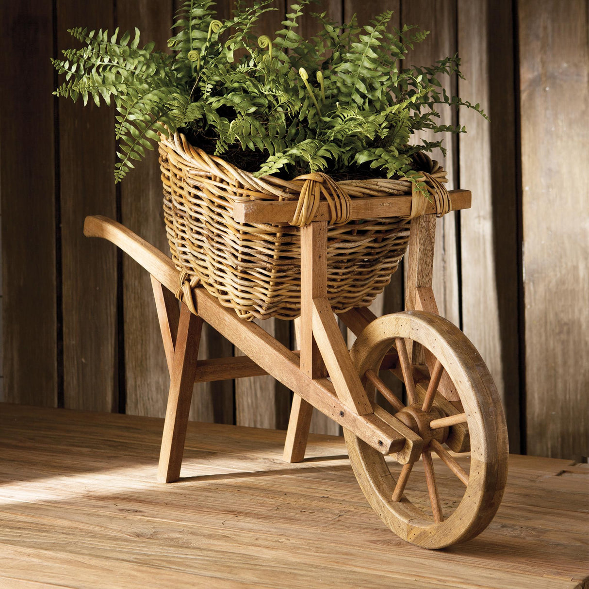 Napa  BOSTON FERN DROP-IN 12"