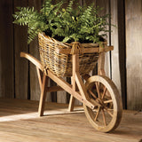 Napa  BOSTON FERN DROP-IN 12"