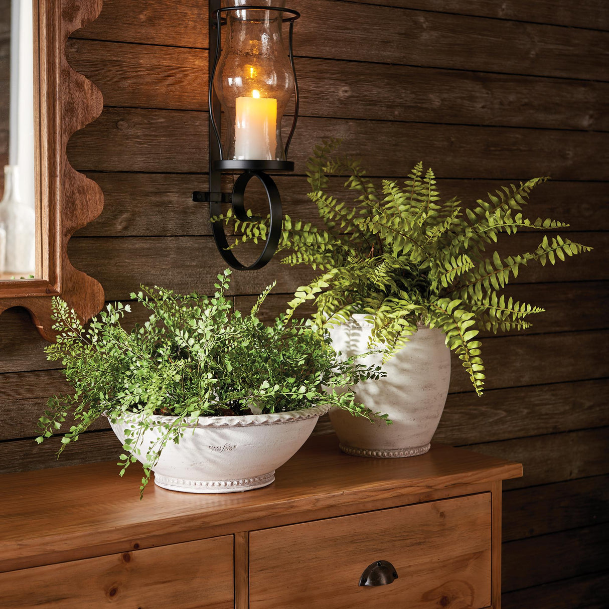 Napa  BOSTON FERN DROP-IN 12"
