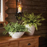 Napa  BOSTON FERN DROP-IN 12"