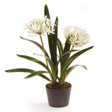 Napa White AGAPANTHUS DROP-IN 23"
