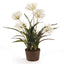 Napa White AGAPANTHUS DROP-IN 29"