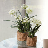 Napa White AGAPANTHUS DROP-IN 29"