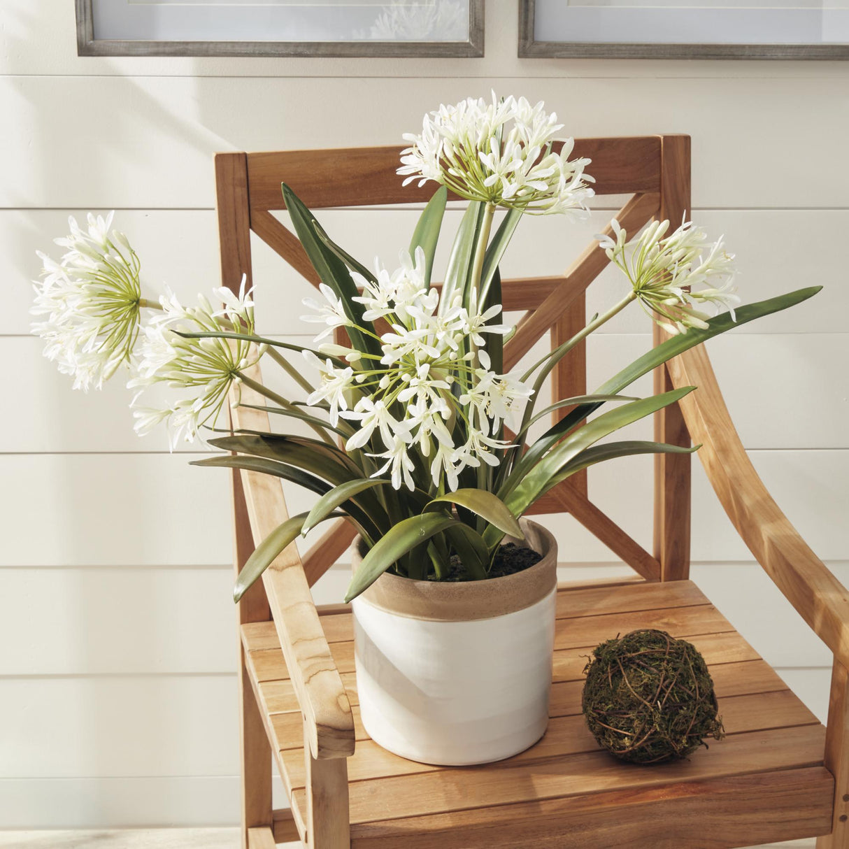 Napa White AGAPANTHUS DROP-IN 29"