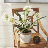 Napa White AGAPANTHUS DROP-IN 29"