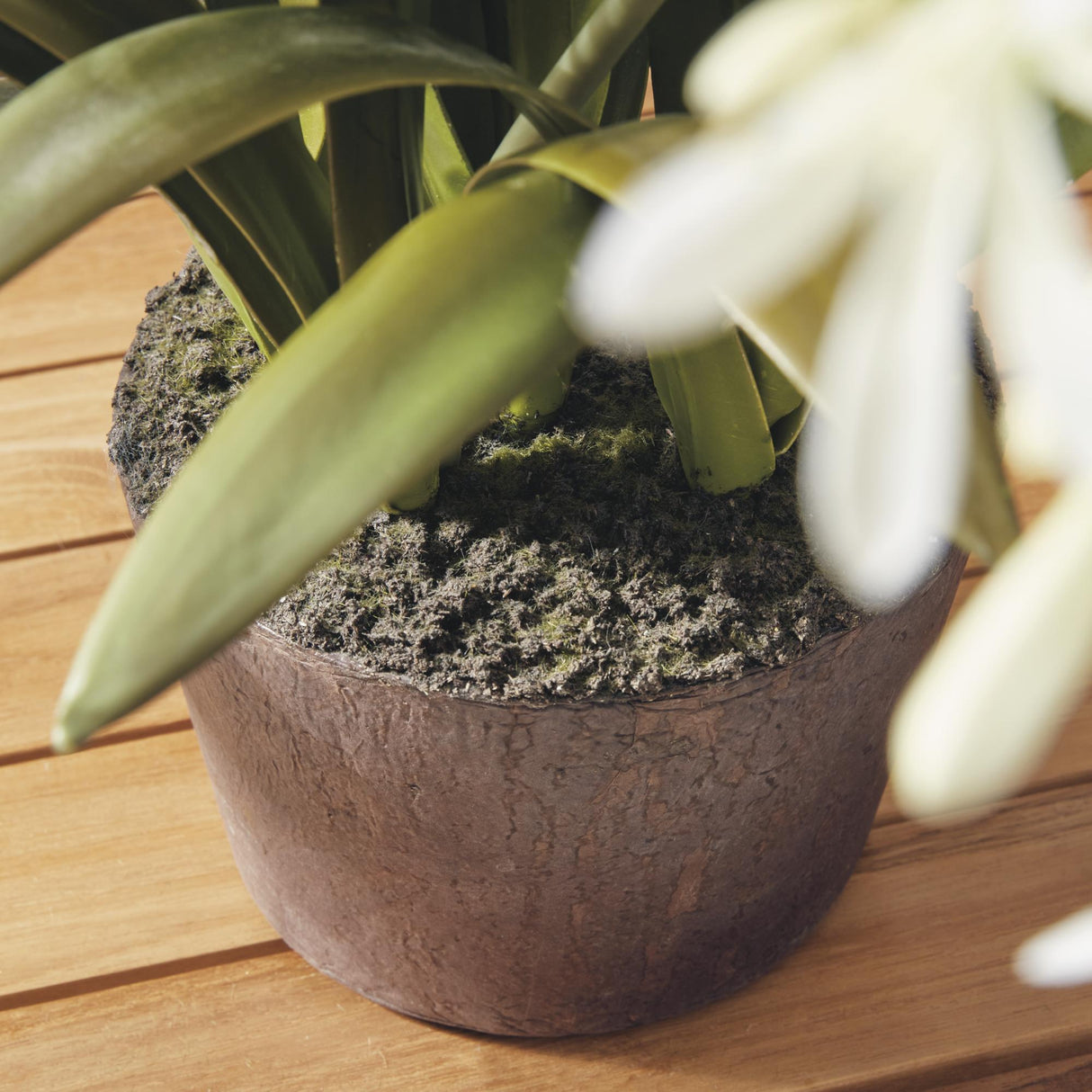 Napa White AGAPANTHUS DROP-IN 29"