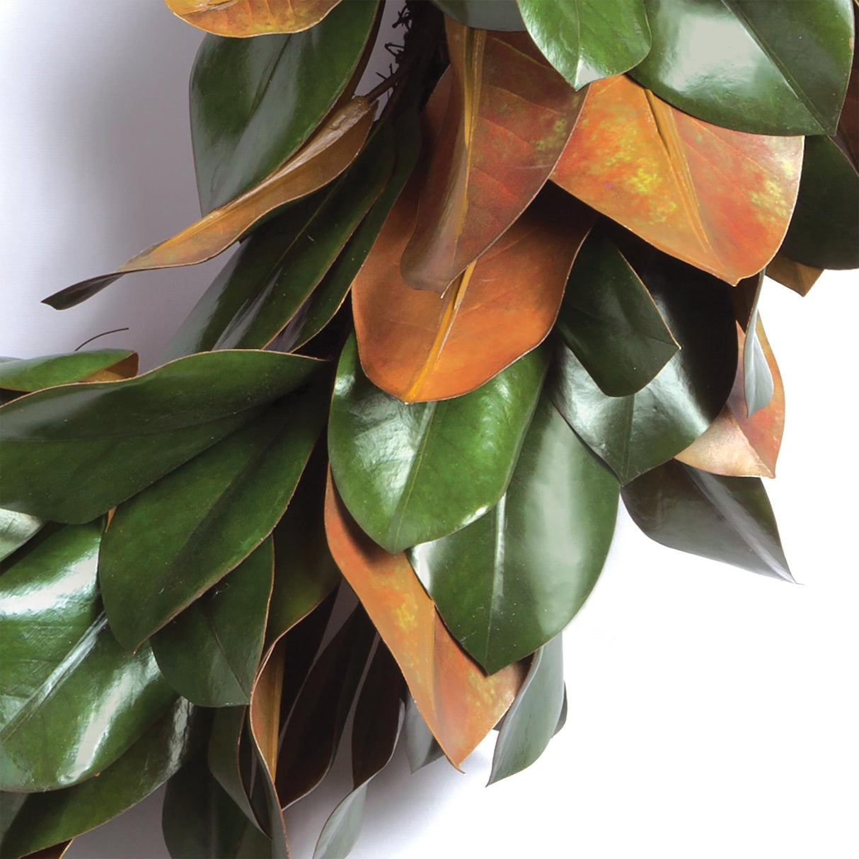 Napa  GRAND MAGNOLIA LEAF WREATH 24"