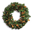 Napa  GRAND MAGNOLIA LEAF WREATH 30"