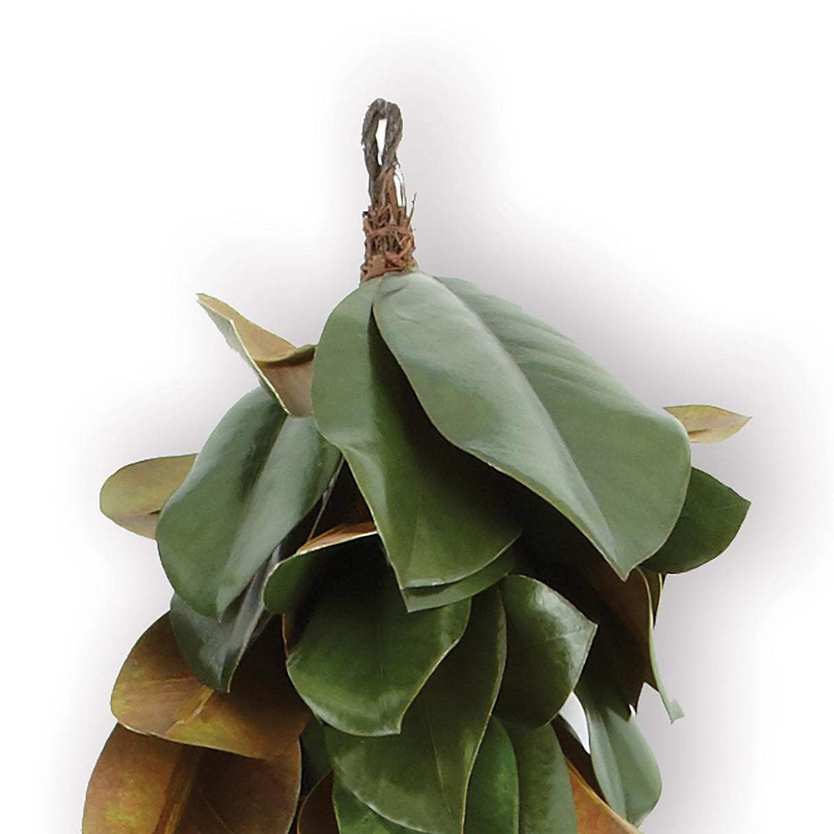 Napa  GRAND MAGNOLIA LEAF GARLAND 72"