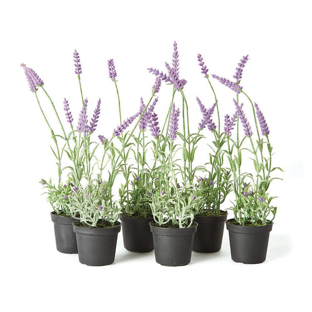 Napa  FRENCH LAVENDER DROP-IN 13", SET OF 6
