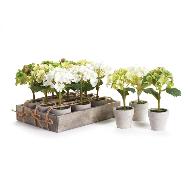 Napa Assorted White/Green/Light Green MINI HYDRANGEA POTTED 7", SET OF 12