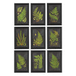 Napa Black FRAMED FERN BOTANICAL PRINTS, SET OF 9