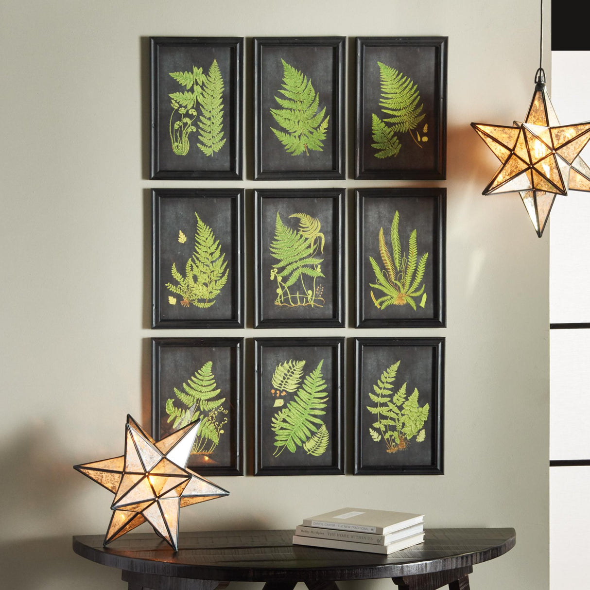 Napa Black FRAMED FERN BOTANICAL PRINTS, SET OF 9