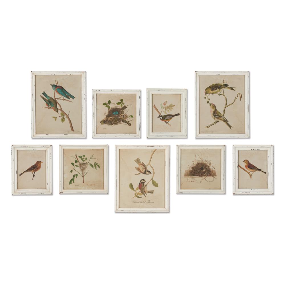 Napa Antique Cream FRAMED AVIARY BIRD & NEST HABITAT PRINTS, SET OF 9