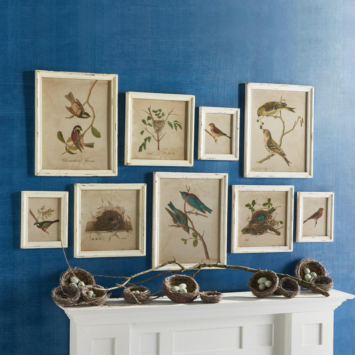 Napa Antique Cream FRAMED AVIARY BIRD & NEST HABITAT PRINTS, SET OF 9