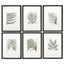 Napa  FRAMED GRAY-TONE FERN PRINTS, SET OF 6