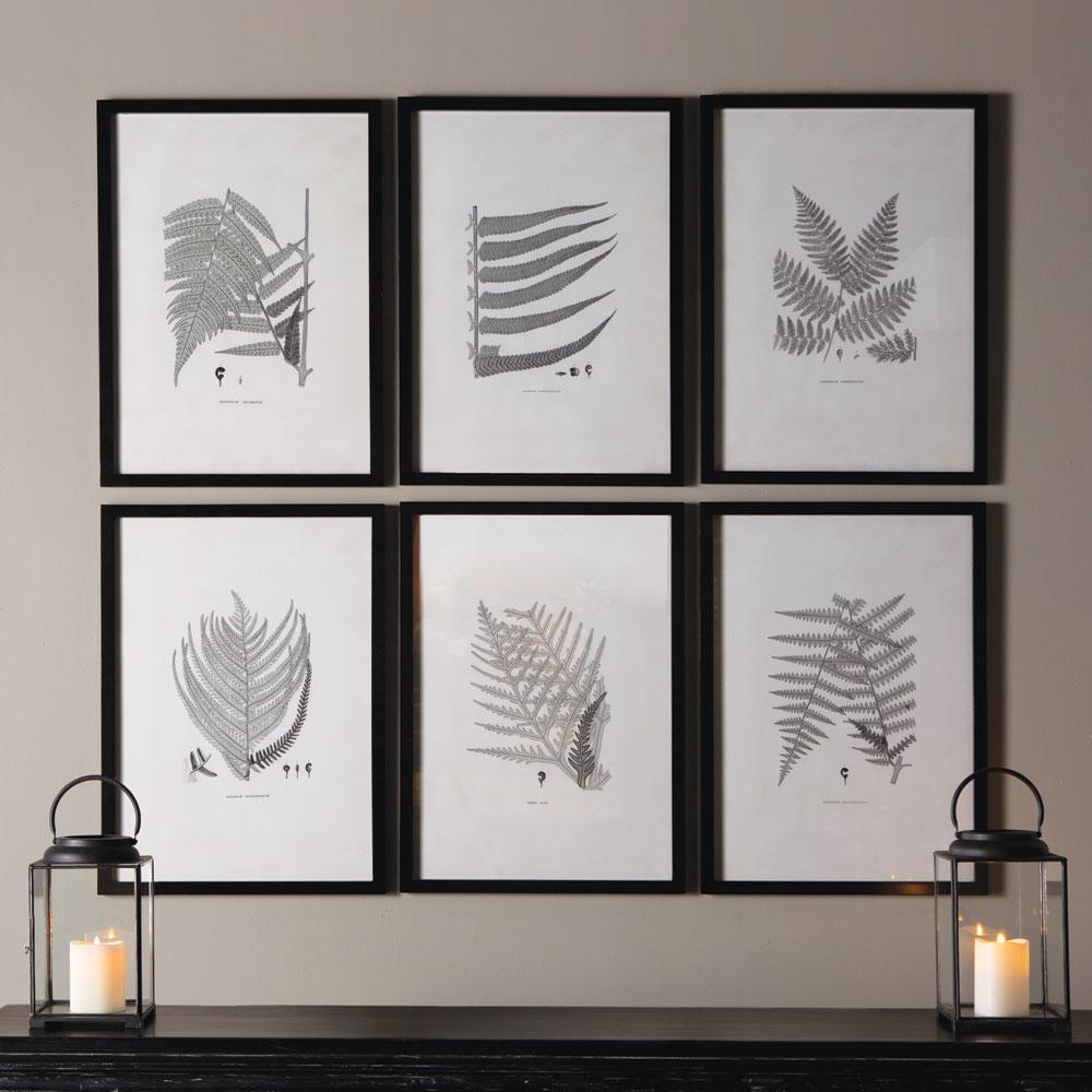 Napa  FRAMED GRAY-TONE FERN PRINTS, SET OF 6