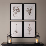 Napa  FRAMED SEPIA-TONE BOTANICAL PRINTS, SET OF 4