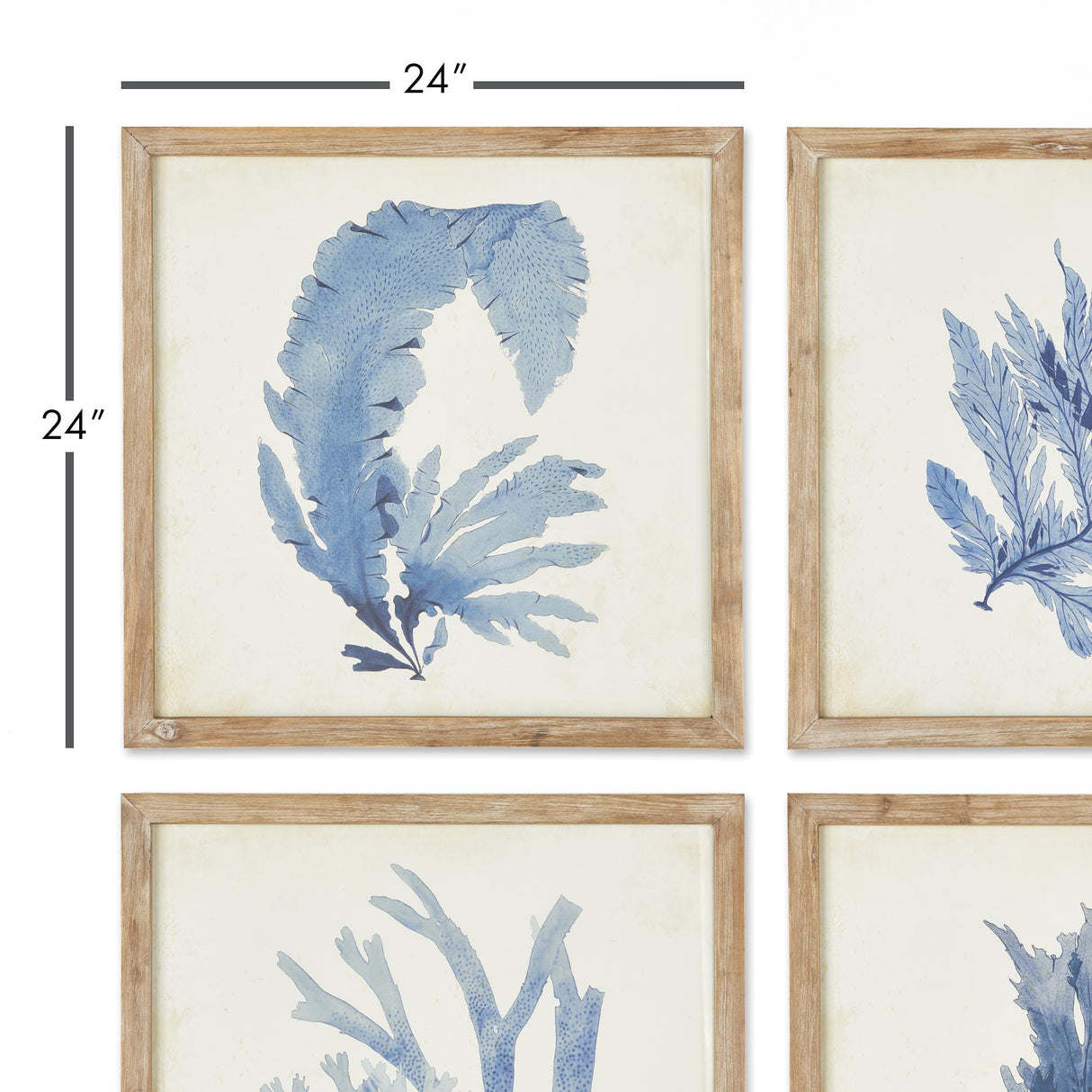 Napa  FRAMED CORAL WATERCOLOR PRINTS, SET OF 4