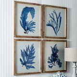 Napa  FRAMED CORAL WATERCOLOR PRINTS, SET OF 4