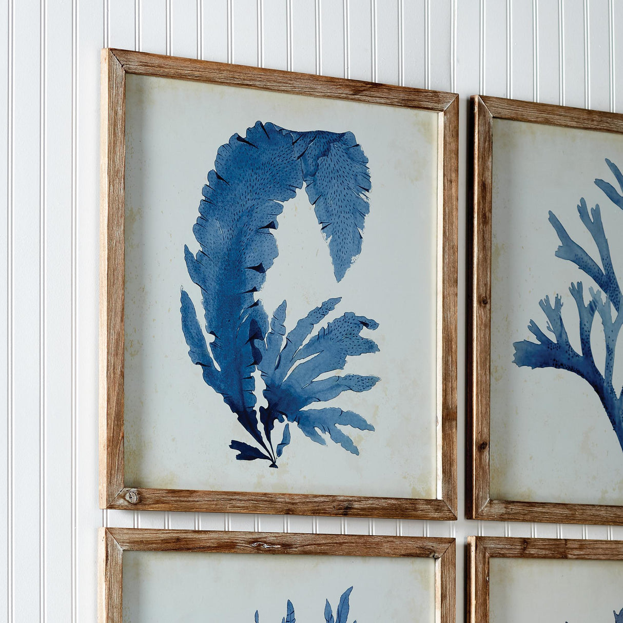 Napa  FRAMED CORAL WATERCOLOR PRINTS, SET OF 4