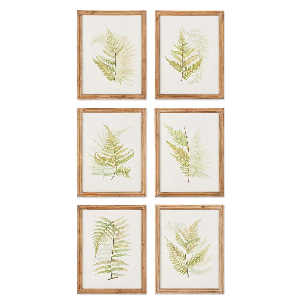 Napa  FRAMED FERN STUDY, SET OF 6