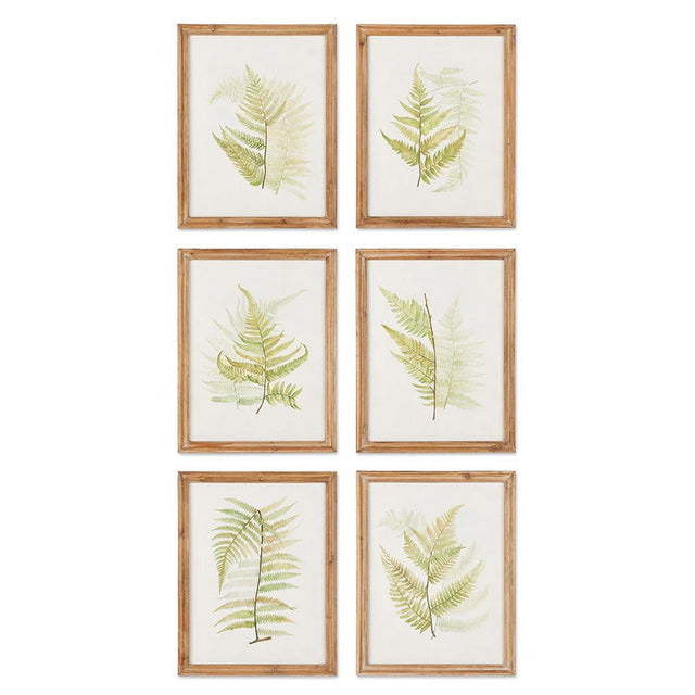 Napa  FRAMED FERN STUDY, SET OF 6