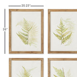 Napa  FRAMED FERN STUDY, SET OF 6