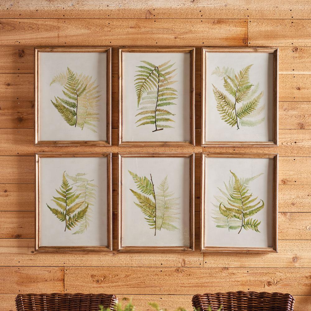 Napa  FRAMED FERN STUDY, SET OF 6