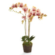 Napa Speckled Pink PHALAENOPSIS ORCHID DROP-IN 32"