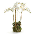 Napa White PHALAENOPSIS ORCHID BOWL DROP-IN 25"